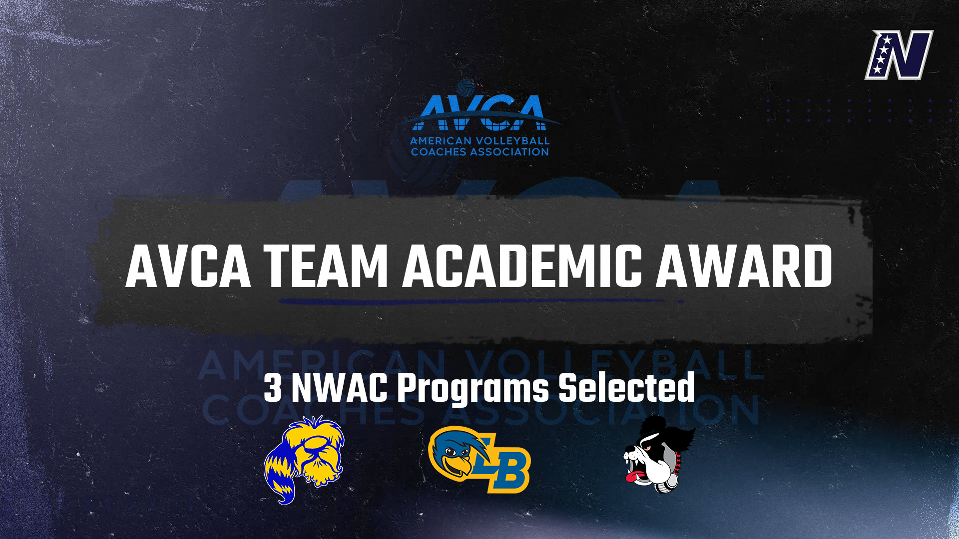 Centralia, Linn-Benton, Mt. Hood Volleyball Programs Honored with AVCA Team Academic Award